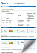 Sample report